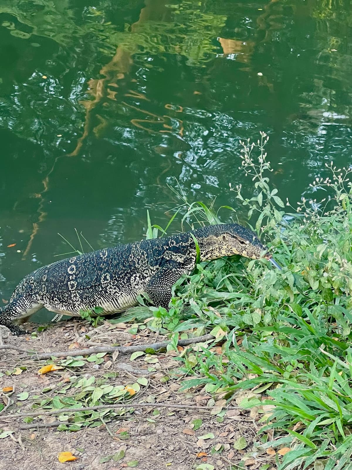 Bangkok